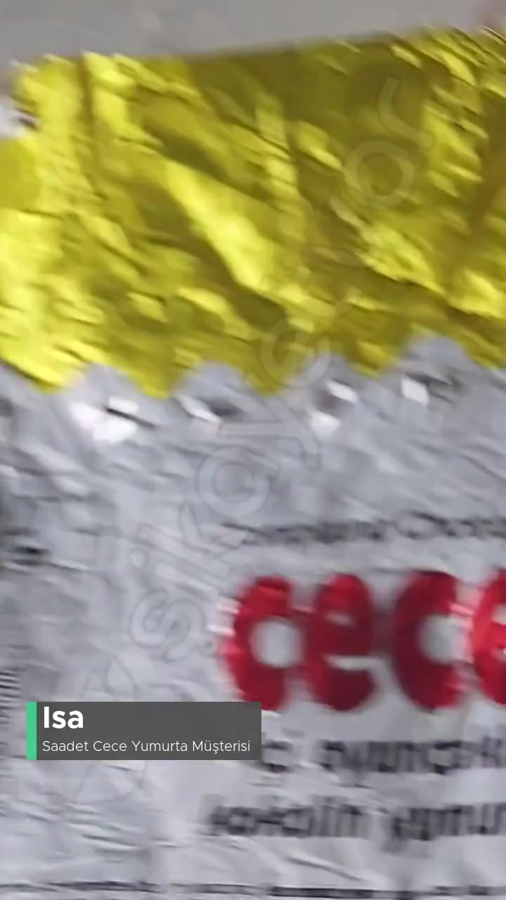 Saadet Cece Sürpriz Yumurtadan Yabancı Cisim Çıktı! videonun kapak resmi