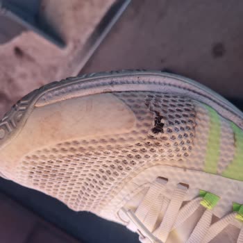 Decathlon Ayakkabılarında Erken Yıpranma Ve Yetersiz Müşteri Hizmetleri
