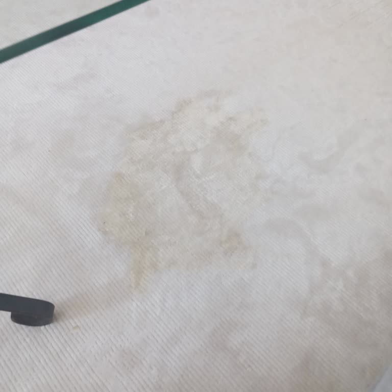 Su İle Kirlenen Halı: Pişmanlık Dolu Alışveriş