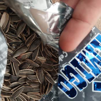 Şok Marketten Aldığım Çekirdekten Kurt Çıktı: Güven Sarsıldı