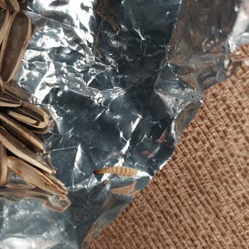 Şok Marketten Aldığım Çekirdekten Kurt Çıktı: Güven Sarsıldı