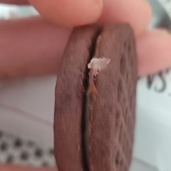 Bisküvi İçinden Çıkan Yabancı Madde: Tüketici Sağlığı Tehlikede