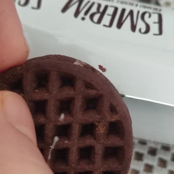 Bisküvi İçinden Çıkan Yabancı Madde: Tüketici Sağlığı Tehlikede