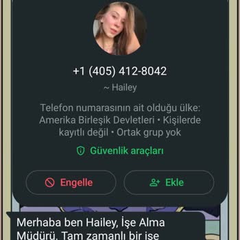 Allegro. CC Üzerinden Şüpheli Görevler Ve Güvenlik Endişesi