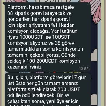 Allegro. CC Üzerinden Şüpheli Görevler Ve Güvenlik Endişesi