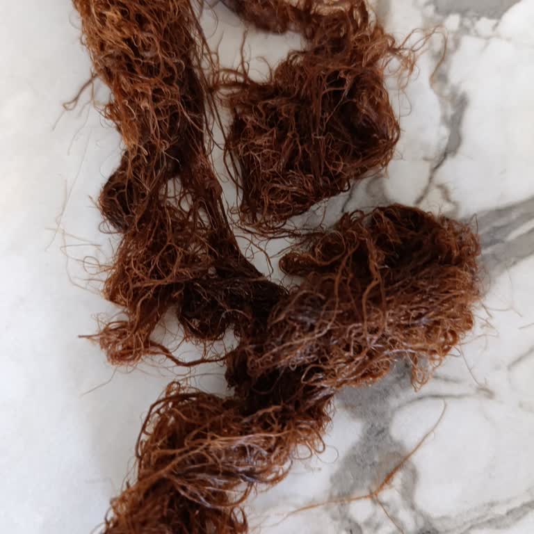 Saç Dökülmesine Sebep Olan Ürünle Yaşadığım Kabus