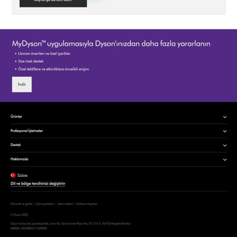 Dyson Web Sitesi Üzerinden Alışverişte Bilgi Eksikliği