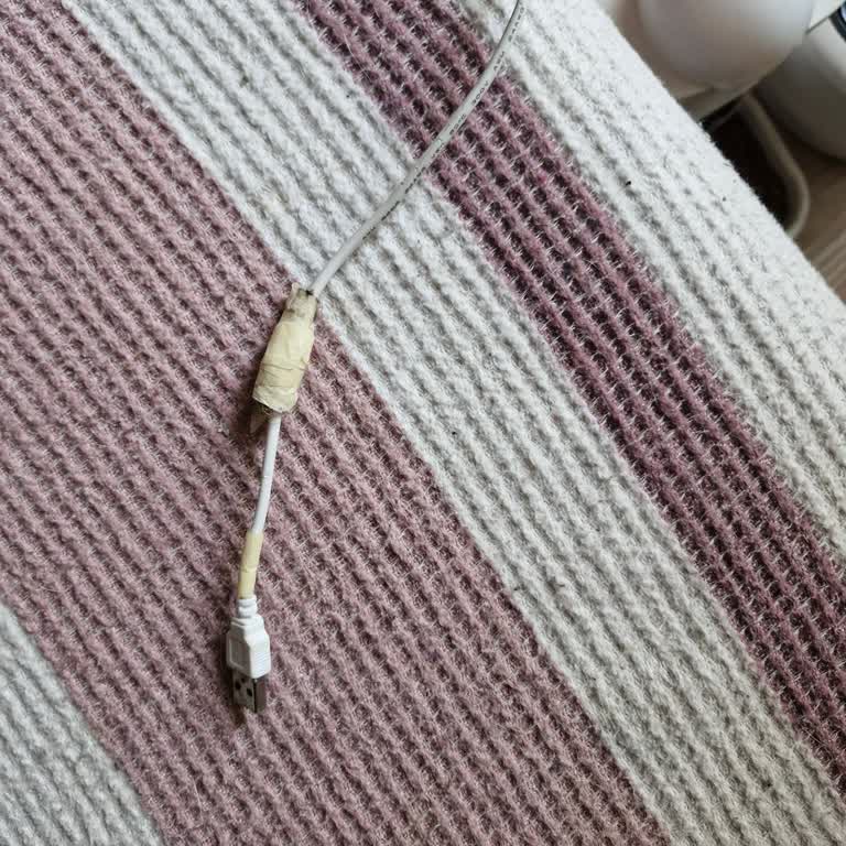 Kiwi Pets Mama Kabı Arızası!