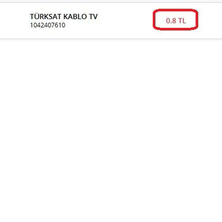 TÜRKSAT Fatura Hatası Ve İlgisizlik