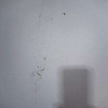 Vivense'de Kalite Ve Hizmet Sorunları