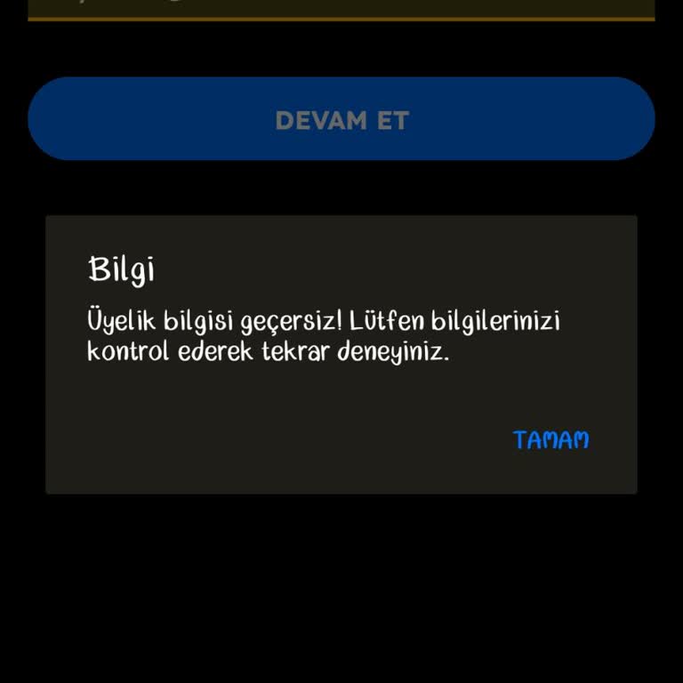 Ödeme Yapılan Hesaba Erişim Sağlanamıyor