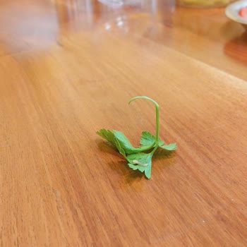 Hijyen Sorunu Ve İlgisiz Hizmet