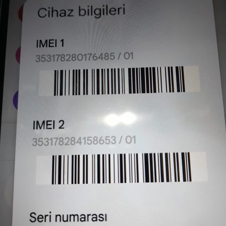 Yanlış Seri Numarası Ve Arızalı Cihaz Sorunu