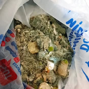 Çizmelioğlu Market Bozuk Peynir Satışı Ve Müşteri Mağduriyeti