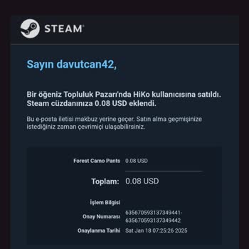 Steam Hesabımın Çalınması Ve Destek Talebi