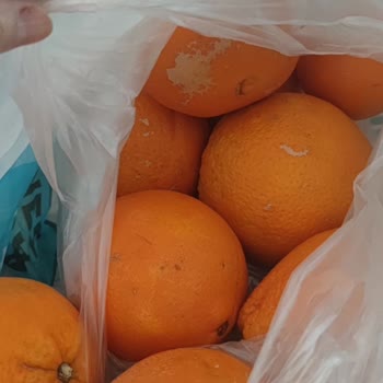 Bozuk Portakal İadesi Reddedildi