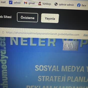 Alan Adı Hatası: Godaddy'nin Müşteri Mağduriyeti