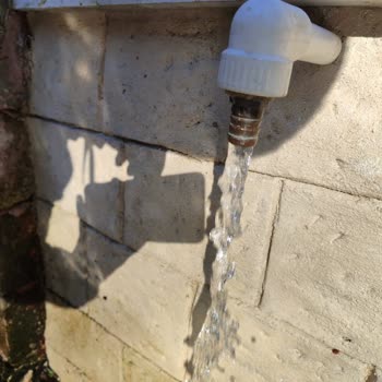 Sarıyer Belediyesi Belgrat Ormanı Su İsrafı