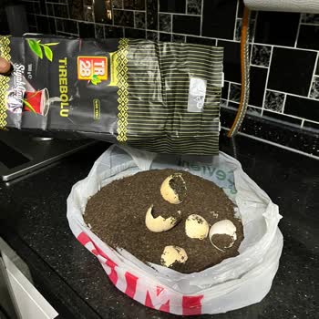 Tirebolu 28 Çay'dan Yumurta Kabukları Çıktı!