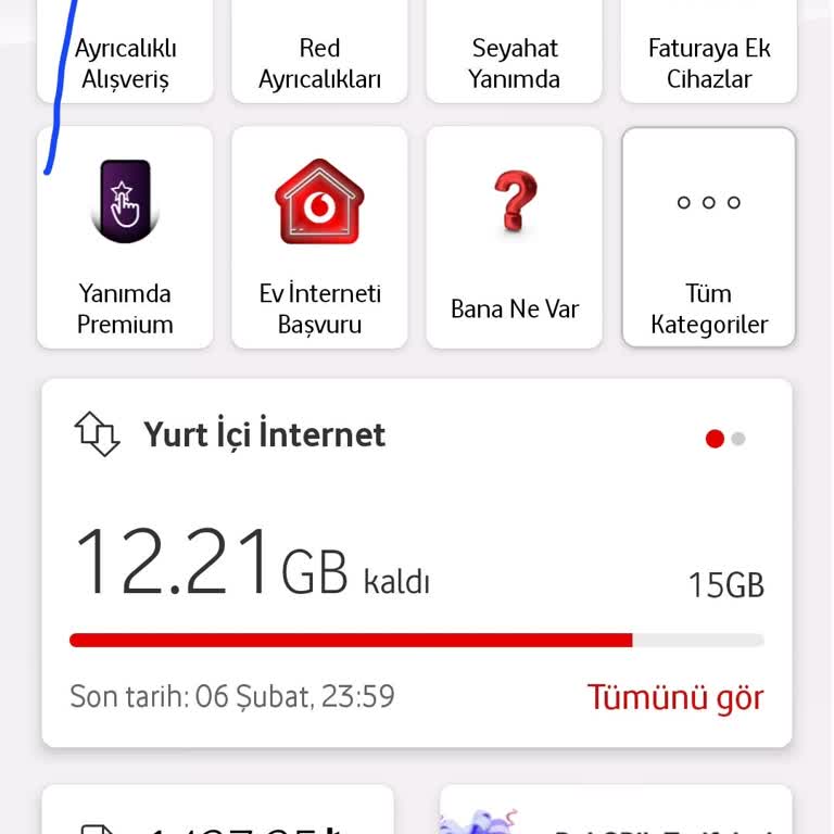Vodafone Fatura Düzenlemesi İçin Acil Yardım Talebi