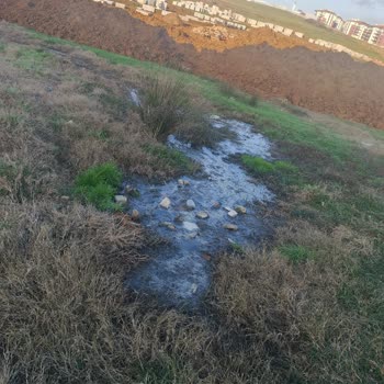 Çocuk Parkı Yanındaki Kanalizasyon Sorunu