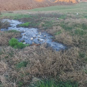Çocuk Parkı Yanındaki Kanalizasyon Sorunu