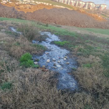 Çocuk Parkı Yanındaki Kanalizasyon Sorunu