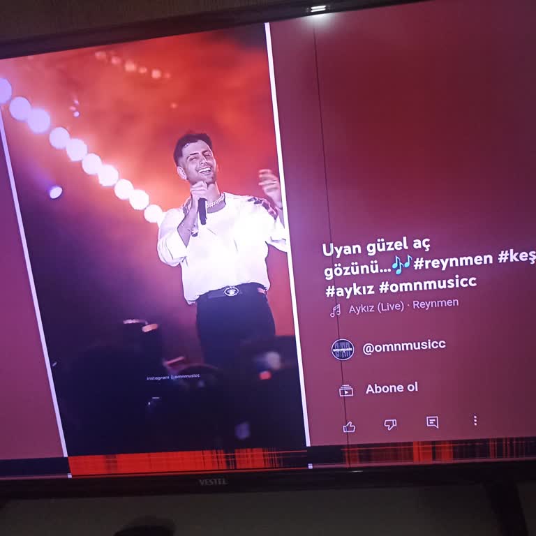 Vestel TV'nin Erken Arızası Ve Müşteri Hizmetleri Sorunu