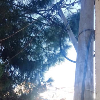 Tehlike Saçan Elektrik Direği Ve İlgisizlik