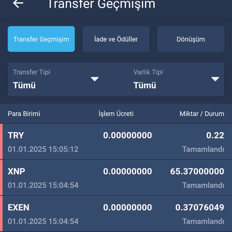 Hesabımdaki Kripto Paraların Kaybolması