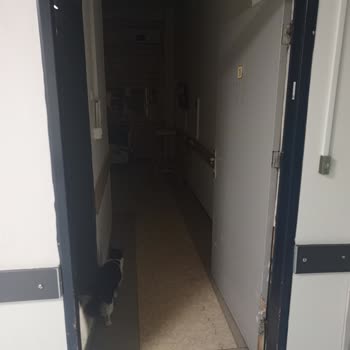 Sağlık Bakanlığı Kardiyoloji 1&2 Şikayetçiyim