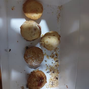 Bayat Ve Lezzetsiz Kurabiyelerle Hayal Kırıklığı