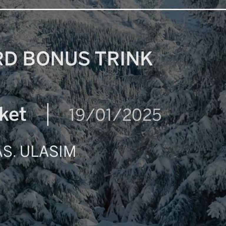 Havabüs'te Kartla Ödeme Farkı: Haksız Komisyon