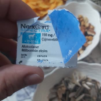 Nexgard Spectra Tarihi Geçmiş Ürün Şikayeti