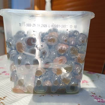 Küflü Zeytin Şoku: Tukaş Ve A101 Sorumlu!