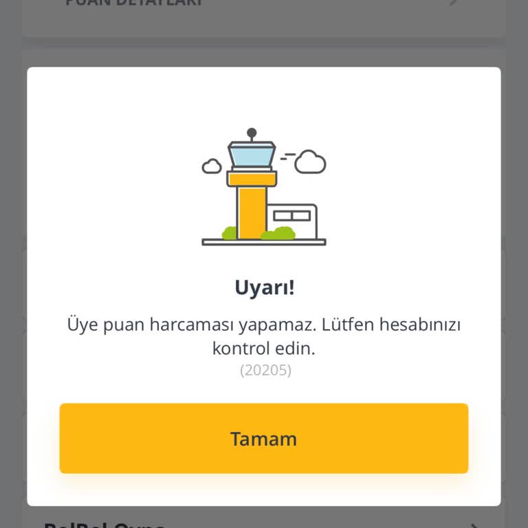 Pegasus Puan Transferi Sorunu Ve Yanıtsız Kalan Sorular