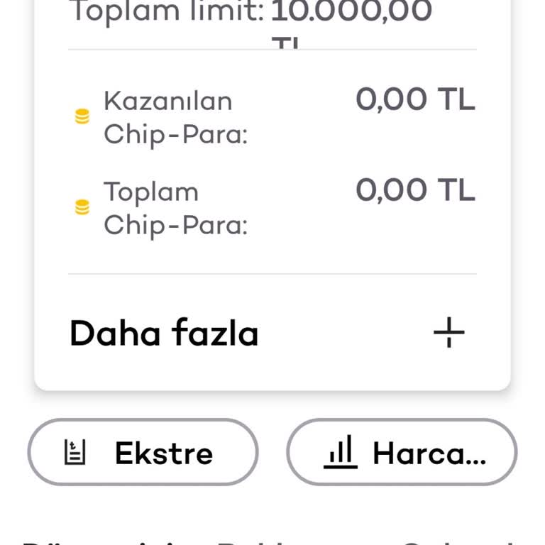 Yanlış Yansıtılan Borç: Chip Para Anlaşmazlığı