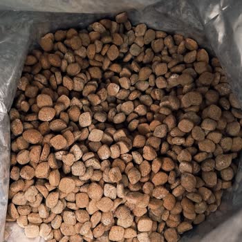 Küflü Mama Sorunu Ve İade Zorluğu