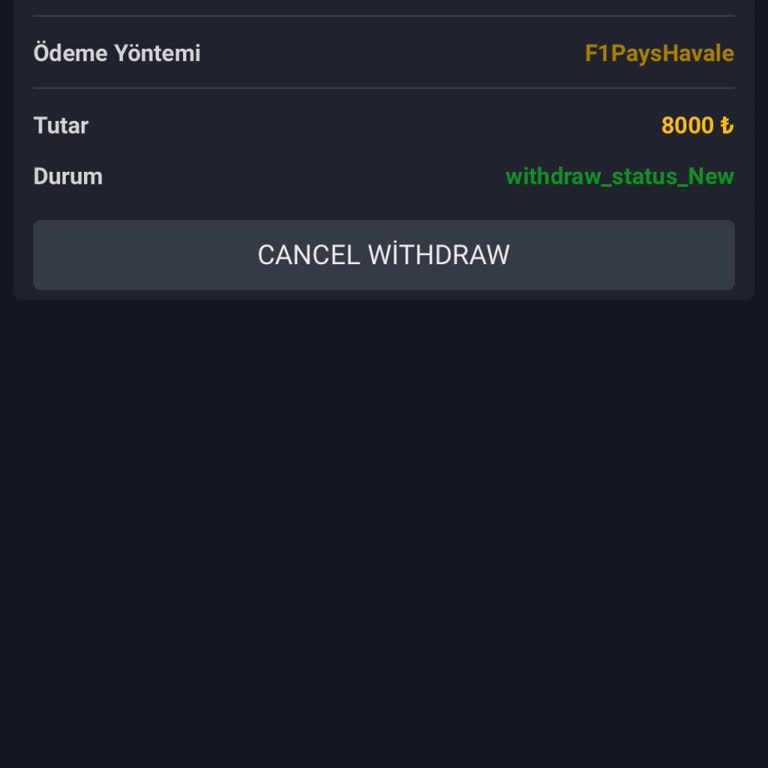 Yanıltıcı Bonus Ve Çekim Sorunu