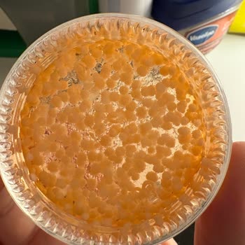 Küflenmiş Kaş Sabitleyici Şoku