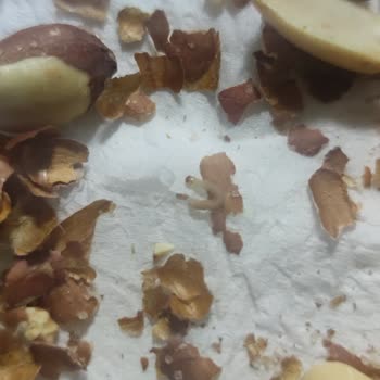 Amigo Fıstıklarının İçinden Kurt Çıkması: Tüketici Sağlığı Tehlikede
