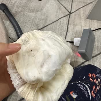 Sleepy Bebek Bezinde Sızdırma Ve Kalite Sorunları