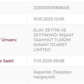 Audi Kasko Kapsamı Sorunu: Sigorta Ödemesi Reddedildi