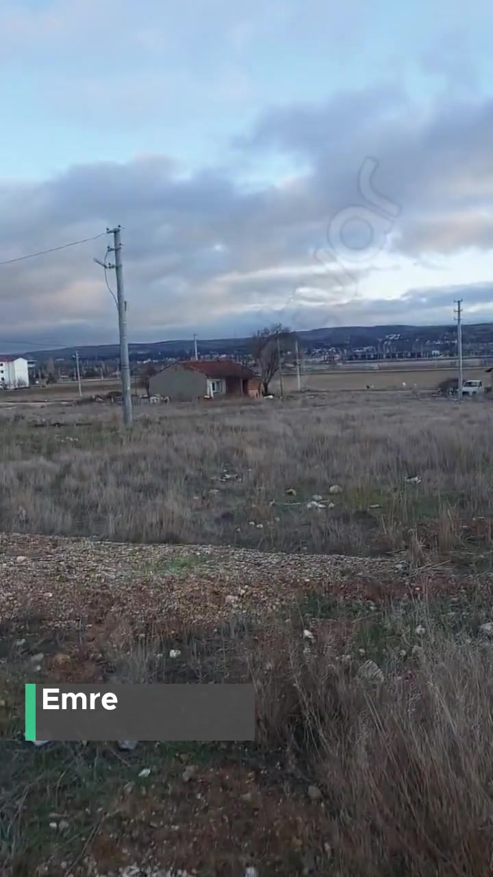 Eskişehir Tepebaşı Çamlıca'da Köpek Riski Çok! videonun kapak resmi