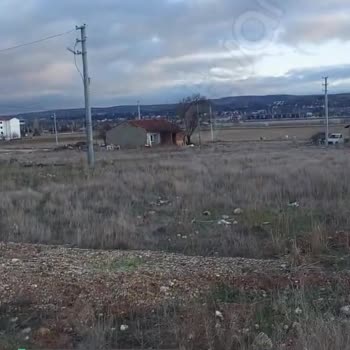 Eskişehir Tepebaşı  Çamlıca'da Köpek Riski Çok!