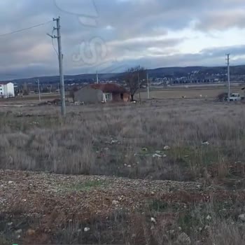 Eskişehir Çamlıca'da Kopek Riski Çok!