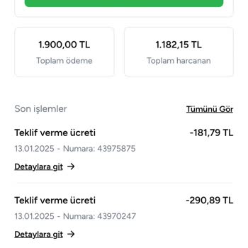 Hesap Güvenlik Taraması Nedeniyle Mağduriyet