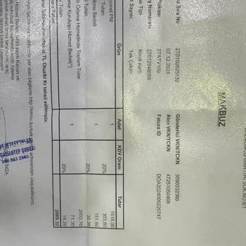 E-Arşiv Fatura Erişim Sorunu