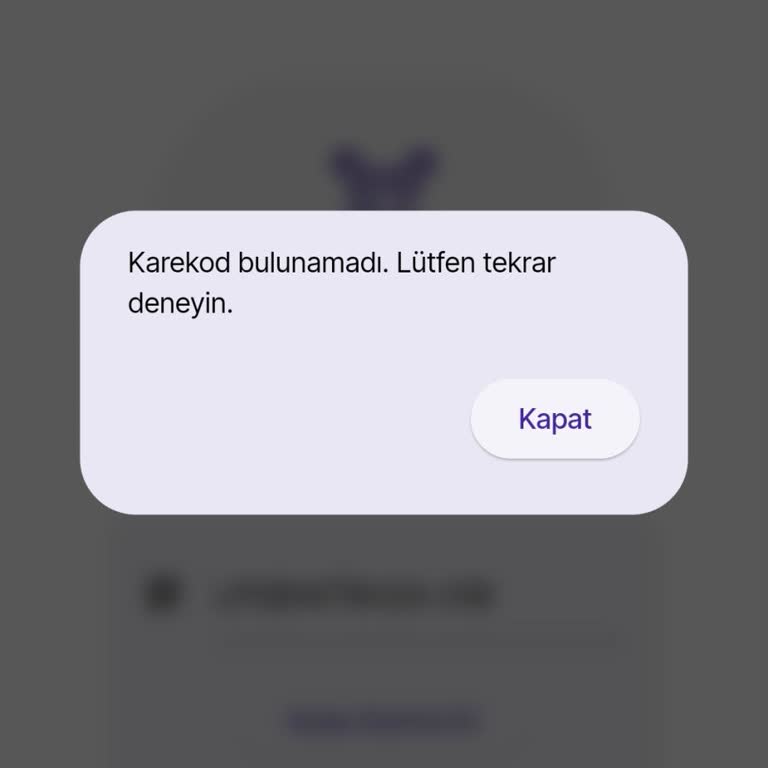 Video Çözümlerine Erişim Sorunu