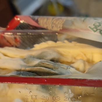 Taze Peynirde Beklenmedik Küf Sorunu